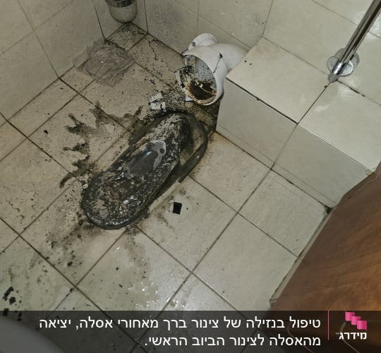 נזקי צנרת ושירותים עם לכלוך וכלים
